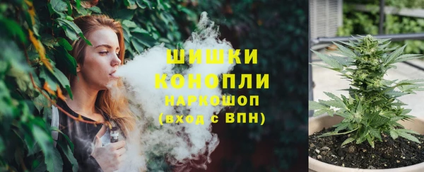 мдпв Нея