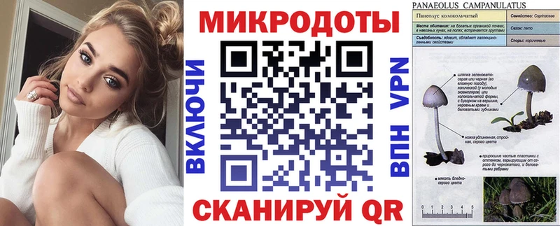 Галлюциногенные грибы Psilocybe  Пошехонье 